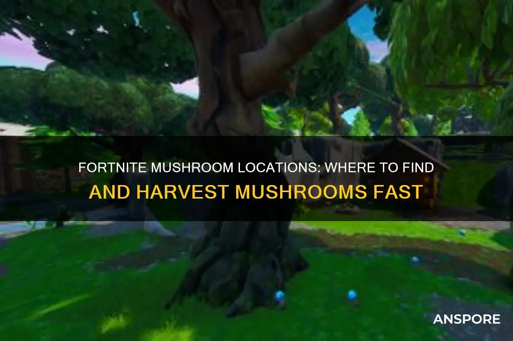 where do mushrooms grow fortnite