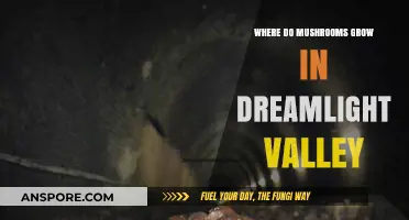 Discovering Mushroom Habitats in Dreamlight Valley: A Comprehensive Guide