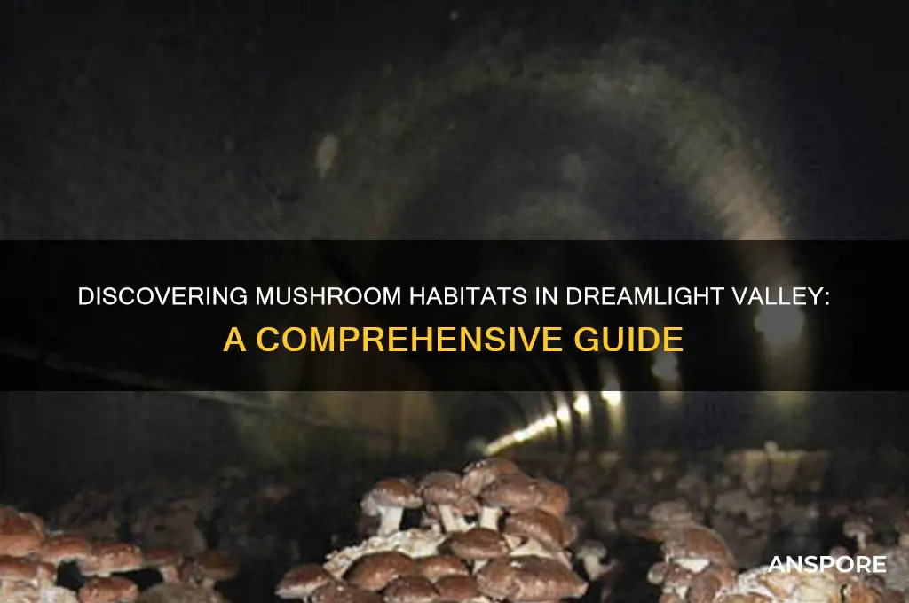 where do mushrooms grow in dreamlight valley