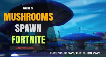 Fortnite's Mushroom Spawning: Where to Find Them?