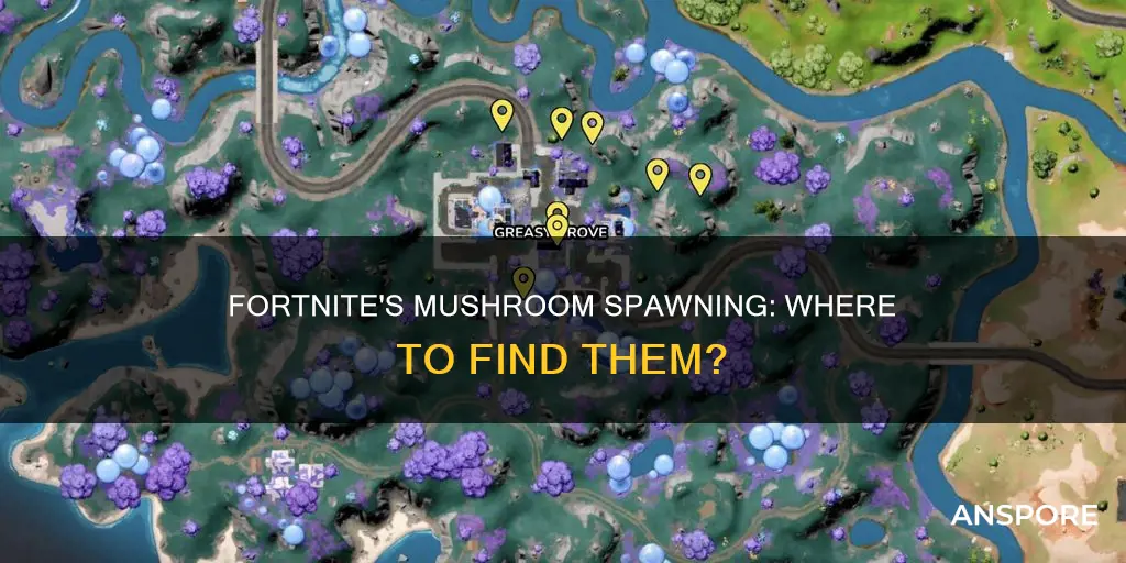 where do mushrooms spawn fortnite