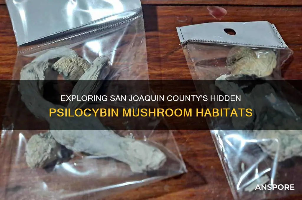 where do psilocybin mushrooms grow in san joaquin county