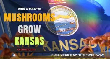 Exploring Kansas: Natural Habitats of Psilocybin Mushrooms Revealed