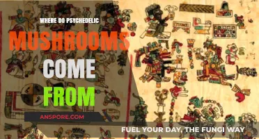 Origins of Psychedelic Mushrooms: A Journey Through Nature and History