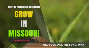 Exploring Missouri's Hidden Habitats for Psychedelic Mushrooms: A Guide