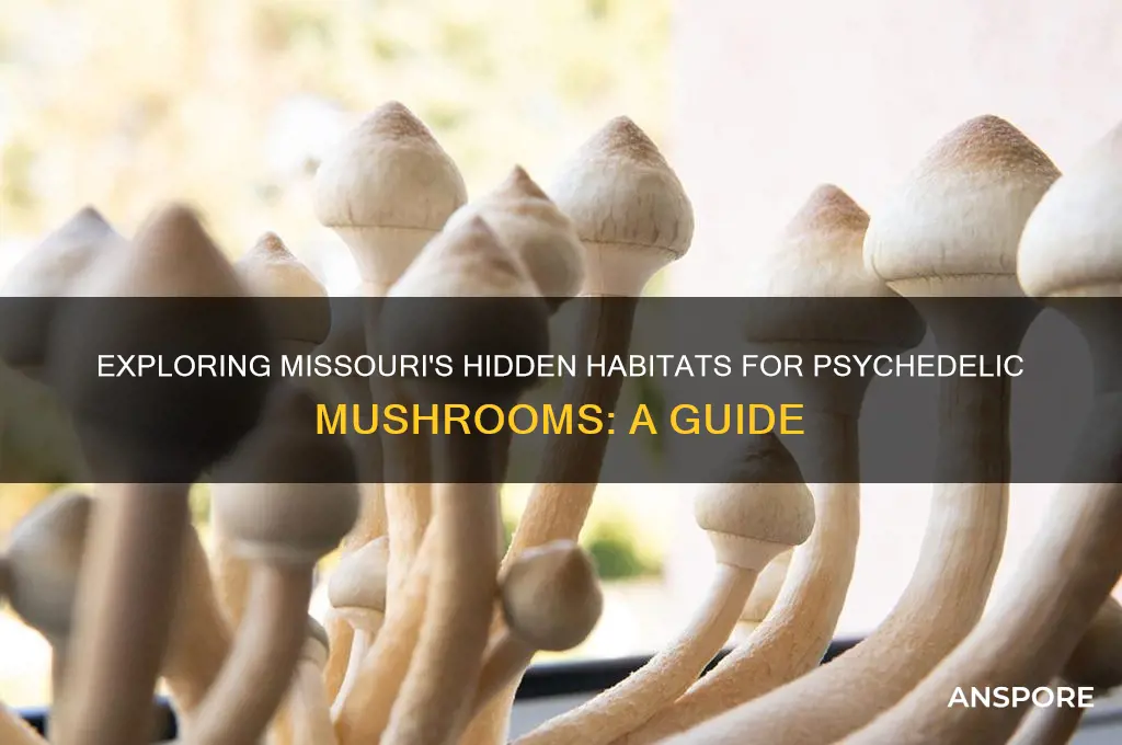 where do psychedelic mushrooms grow in missouri