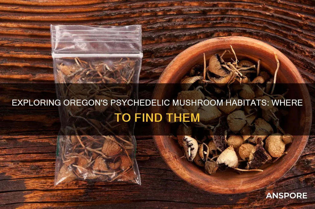 where do psychedelic mushrooms grow in oregon