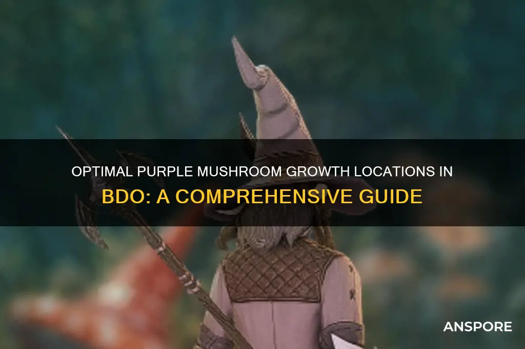 where do purple mushrooms grow fastest bdo