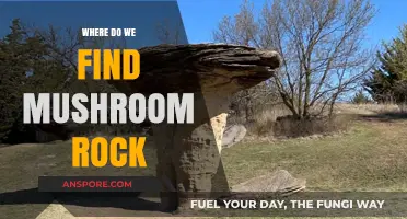 Discovering Mushroom Rock: Unique Locations and Geological Wonders Explored