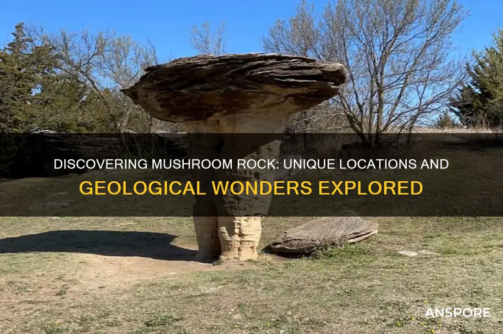 where do we find mushroom rock