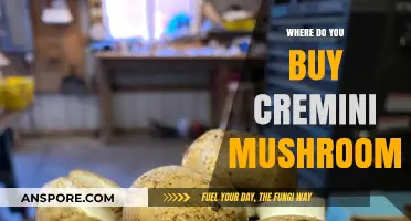 Where to Buy Cremini Mushrooms: Top Stores and Tips for Freshness