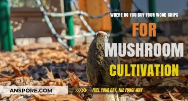 Best Sources for Wood Chips to Grow Mushrooms: A Buyer's Guide