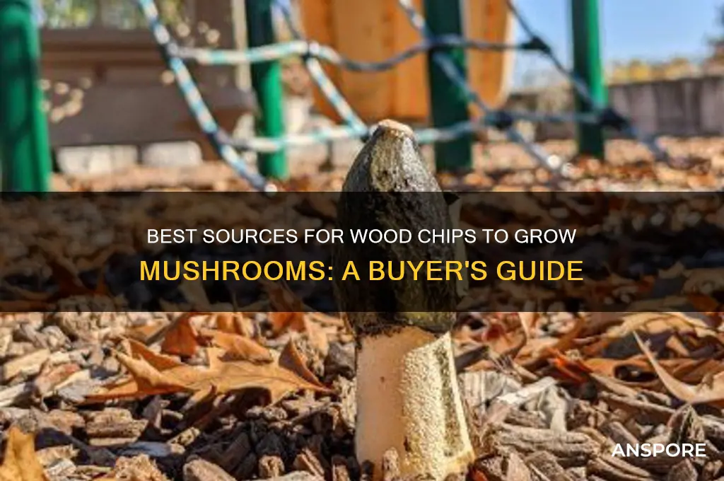where do you buy your wood chips for mushroom cultivation
