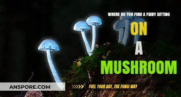 Enchanting Spots to Discover Fairies Perched on Mushrooms in Nature