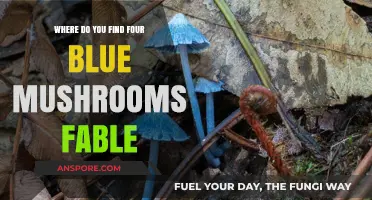 Discovering Fable's Four Blue Mushrooms: A Hidden Treasure Hunt Guide