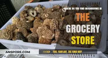 Finding Mushrooms in the Grocery Store: A Quick Aisle Guide