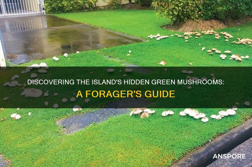 where do you find the green mushrooms in the island