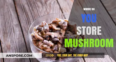 The Best Places to Store Mushrooms