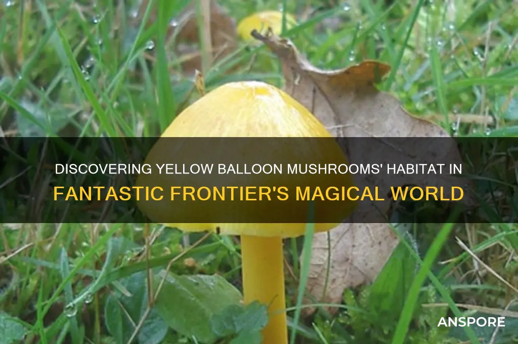 where does yellow balloon mushrooms grow in fantastic frontier