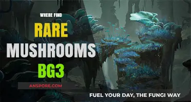 Unveiling Hidden Gems: Where to Find Rare Mushrooms in Baldur's Gate 3