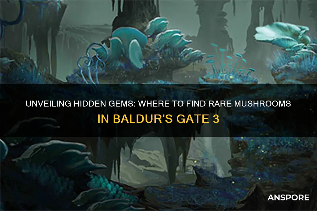 where find rare mushrooms bg3