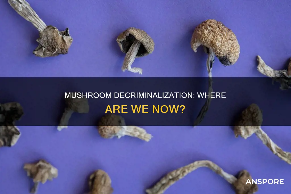 where have mushrooms been decriminalized