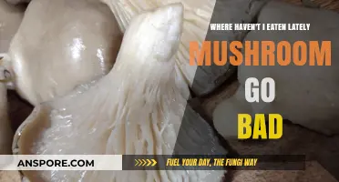 Mushrooms Gone Bad: My Recent Culinary Adventures and Missed Spots