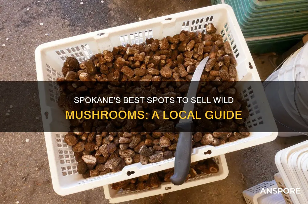 where in spokane can you sell wild mushrooms to