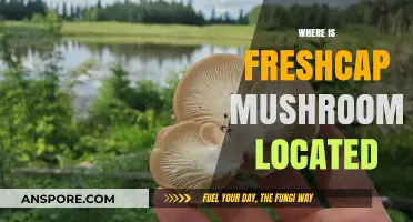 Freshcap Mushrooms: Where Is This Company Located?