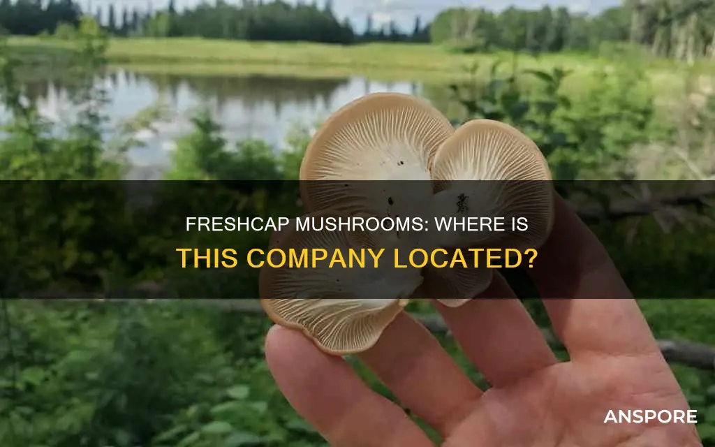 where is freshcap mushrooms located
