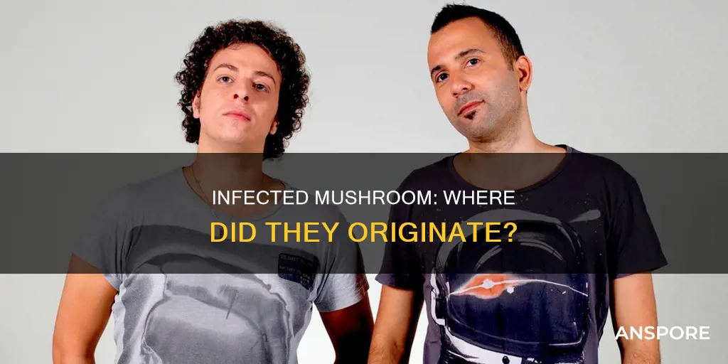where is infected mushroom form