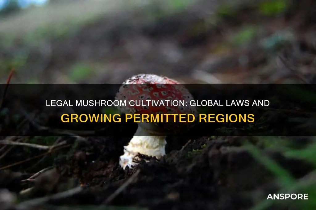 where is it legal to grow mushrooms