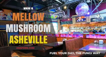 Mellow Mushroom Asheville: Location and More