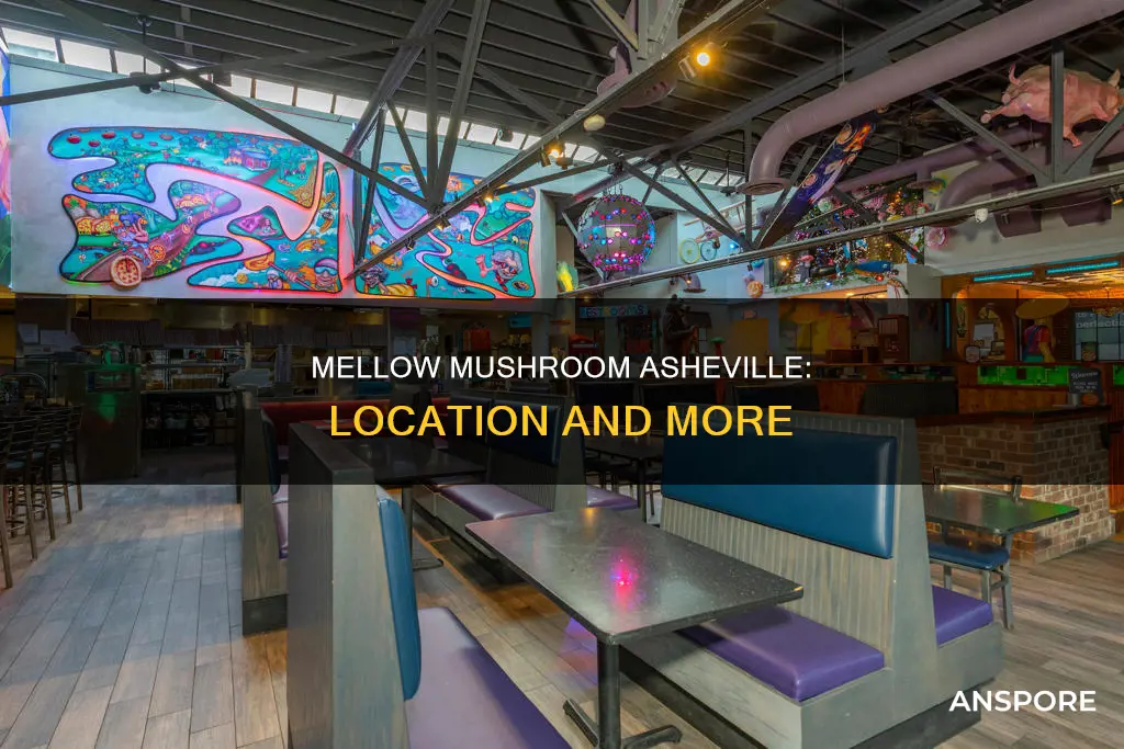 where is mellow mushroom asheville