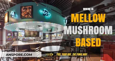 Mellow Mushroom: Where is it From?