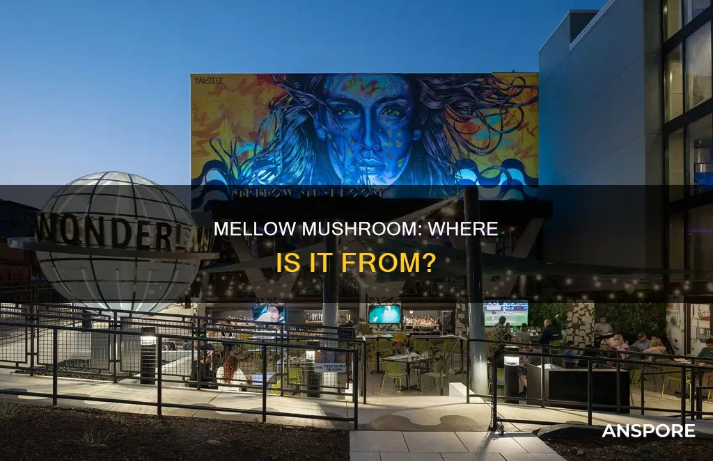 where is mellow mushroom based