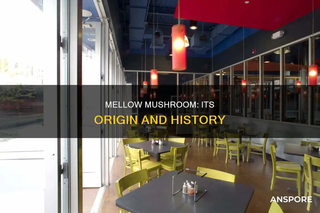 where is mellow mushroom from