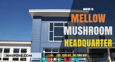 Mellow Mushroom Headquarters: Where is Home-base?
