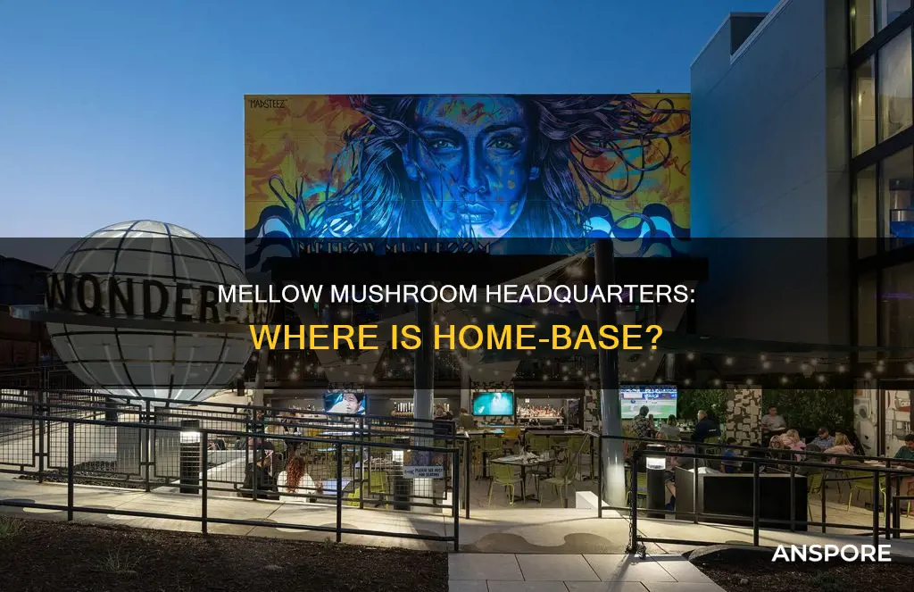 where is mellow mushroom headquarters
