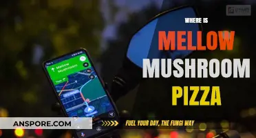 Mellow Mushroom Pizza: Where to Find This Delicious Treat