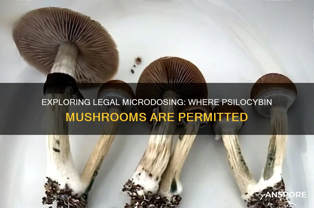 where is microdosing mushrooms legal