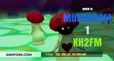 Finding Mushroom in KH2FM: A Guide