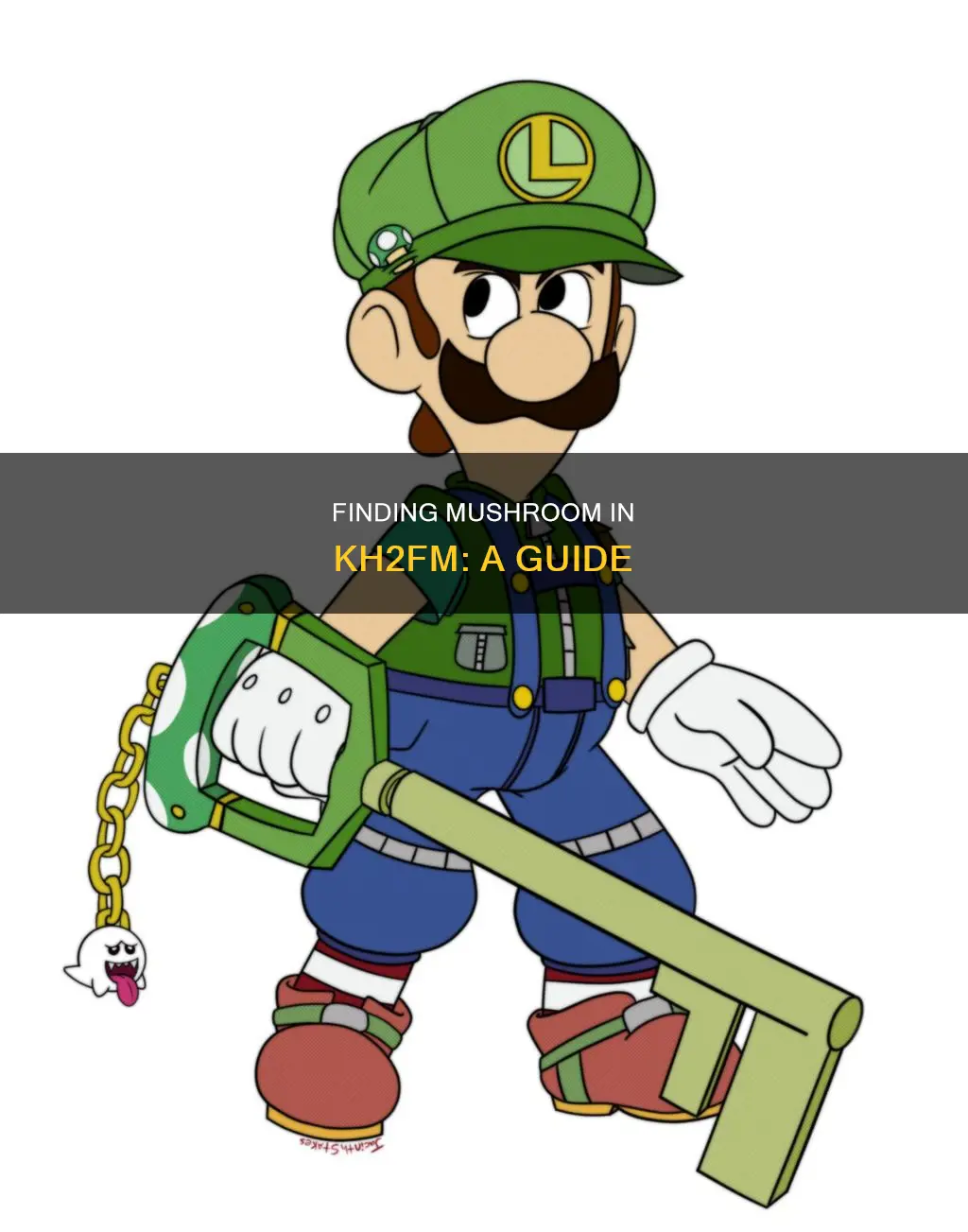 where is mushroom 1 kh2fm