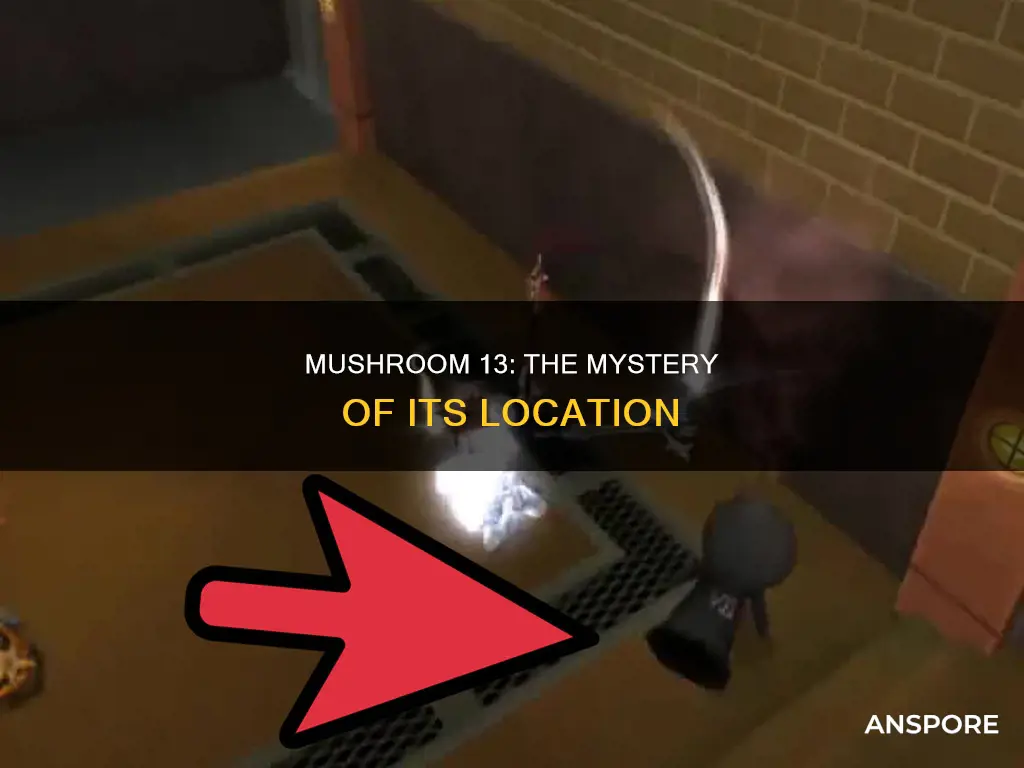 where is mushroom 13