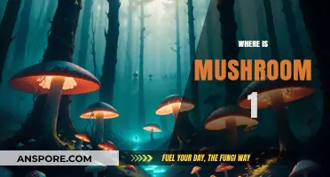 Finding Mushroom 1: A Guide to Locations