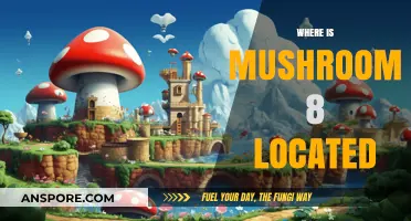 Finding Mushroom 8: Location Guide