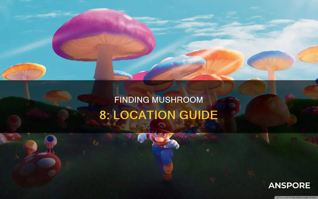 where is mushroom 8 located