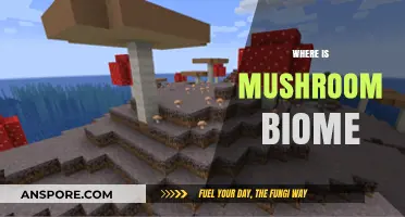 Mushroom Biomes: Where Are They Found?