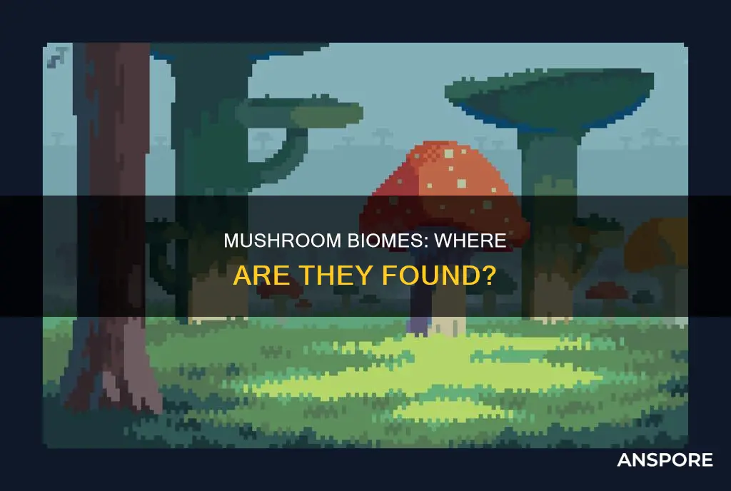 where is mushroom biome