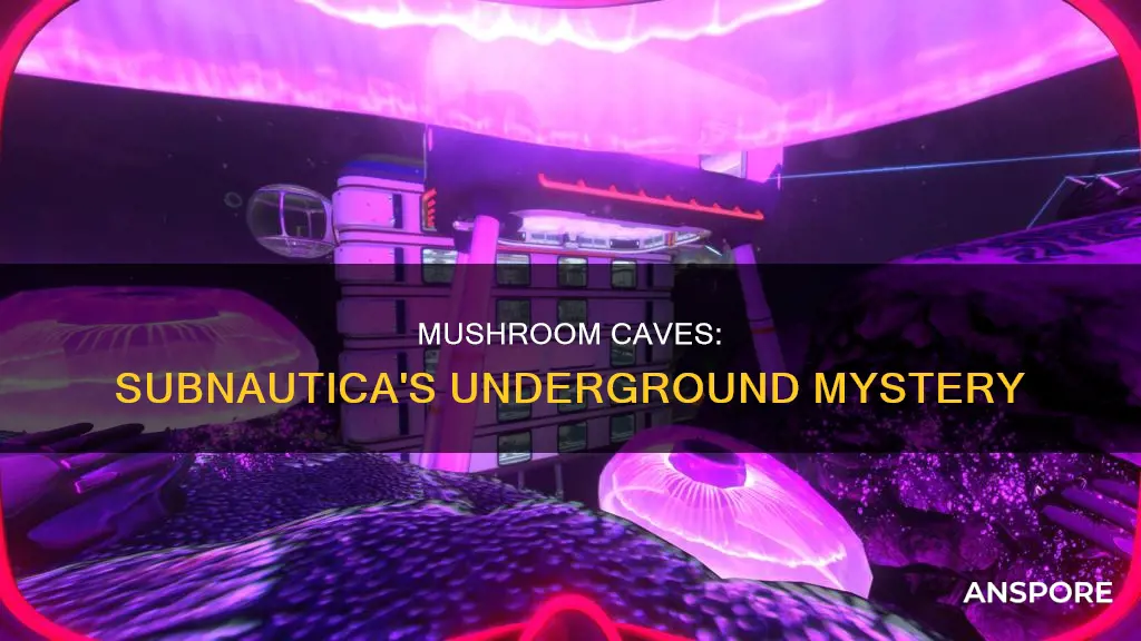 where is mushroom caves subnautica